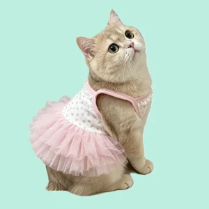 cat dress (1)