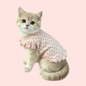 cat dress (3)