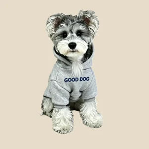 hoodie 1 (2)
