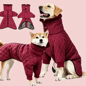 jacket (1)
