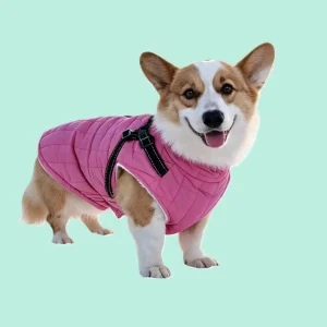 jacket (2)