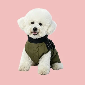 jacket (3)