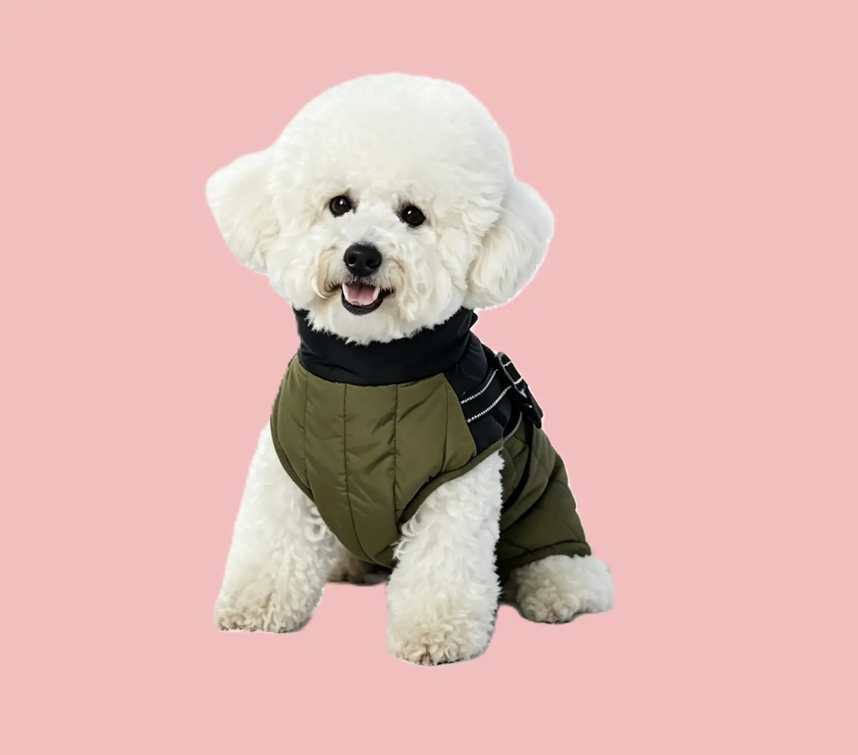 jacket (3) jacket (3)