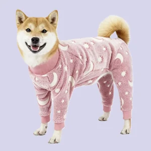 pajama1
