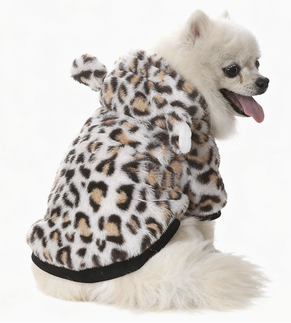 about-us-img PET002 2