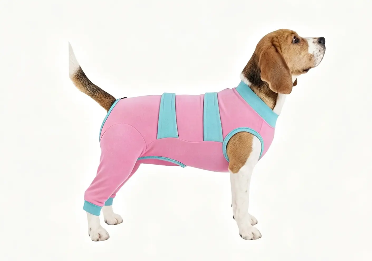 recovery suit (6) recovery suit (6)