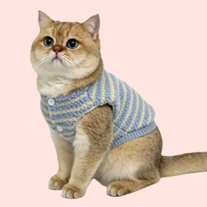 vest 1
