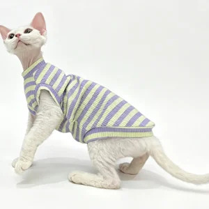 vest2 (2)