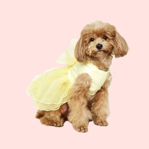 dog dress 纱裙 (2)