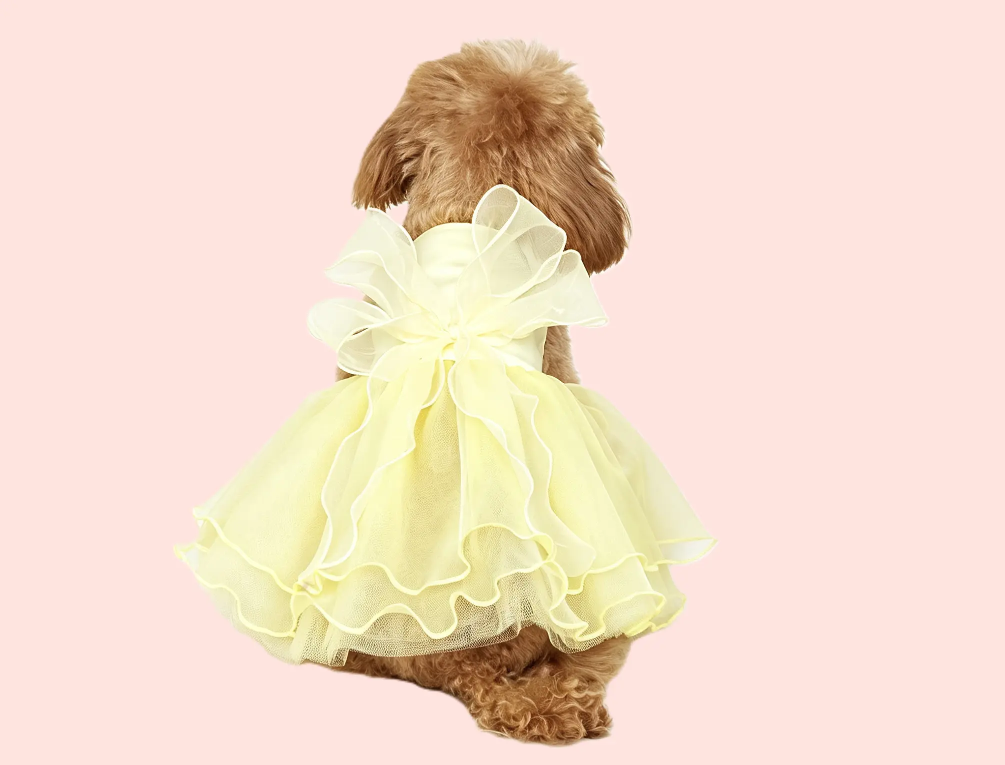 dog dress 纱裙 (3) dog dress 纱裙 (3)