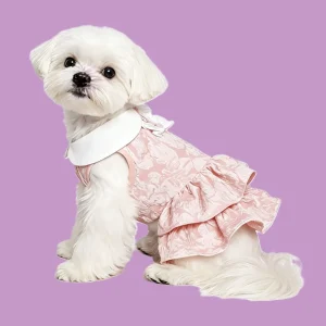 dress (4)