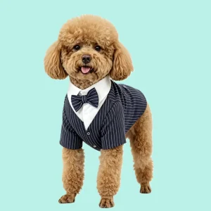 formal wear 1 (1) (2)