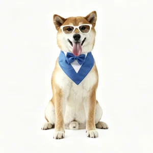 formal wear 1 (13)