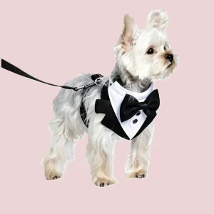 formal wear 1 (5)