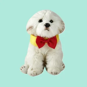 formal wear 1 (7)