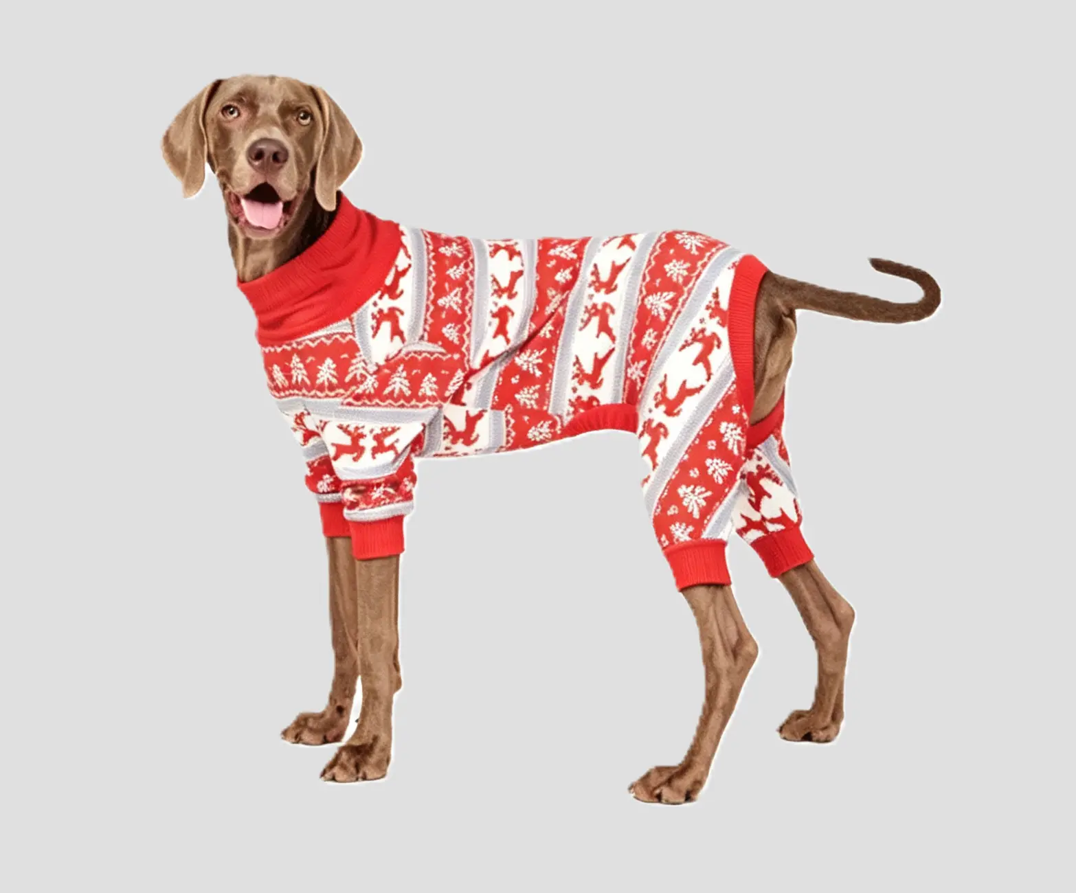 pajama1 (8) pajama1 (8)