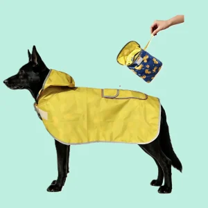 raincoat (1)