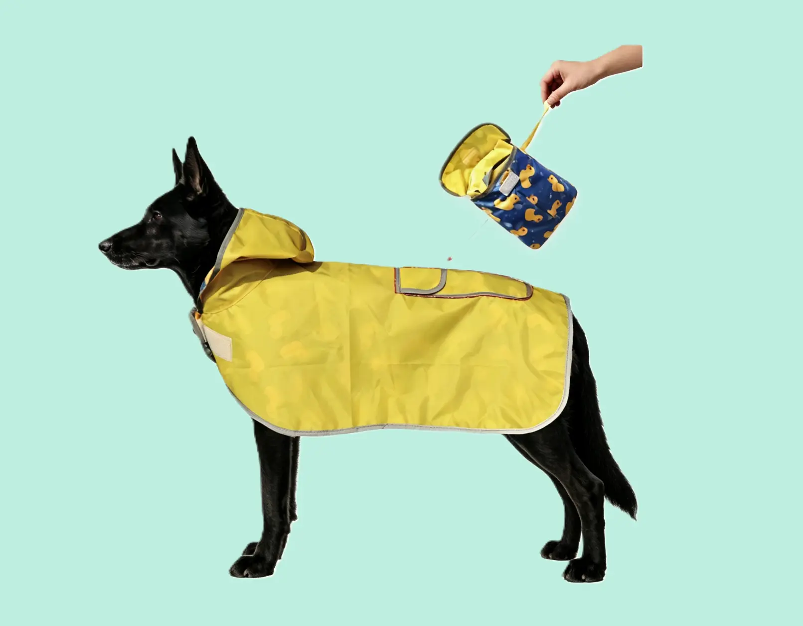 raincoat (1) raincoat (1)