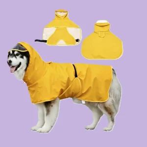 raincoat (2)