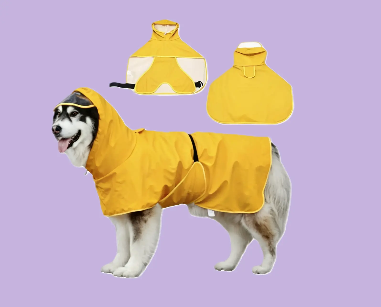 raincoat (2) raincoat (2)