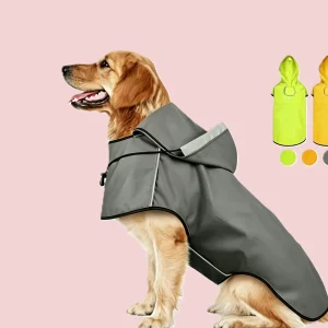 raincoat 3