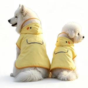 raincoat1 (1)