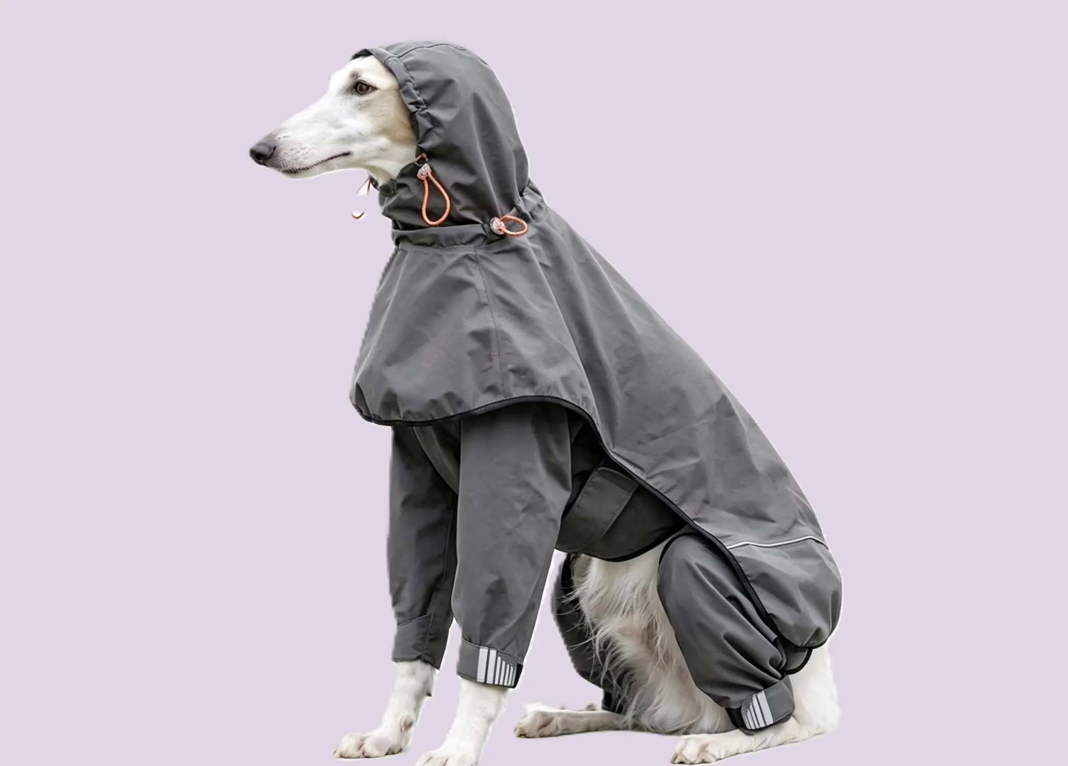 raincoat1 (3) raincoat1 (3)