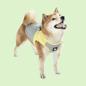 vest1 2 (1)